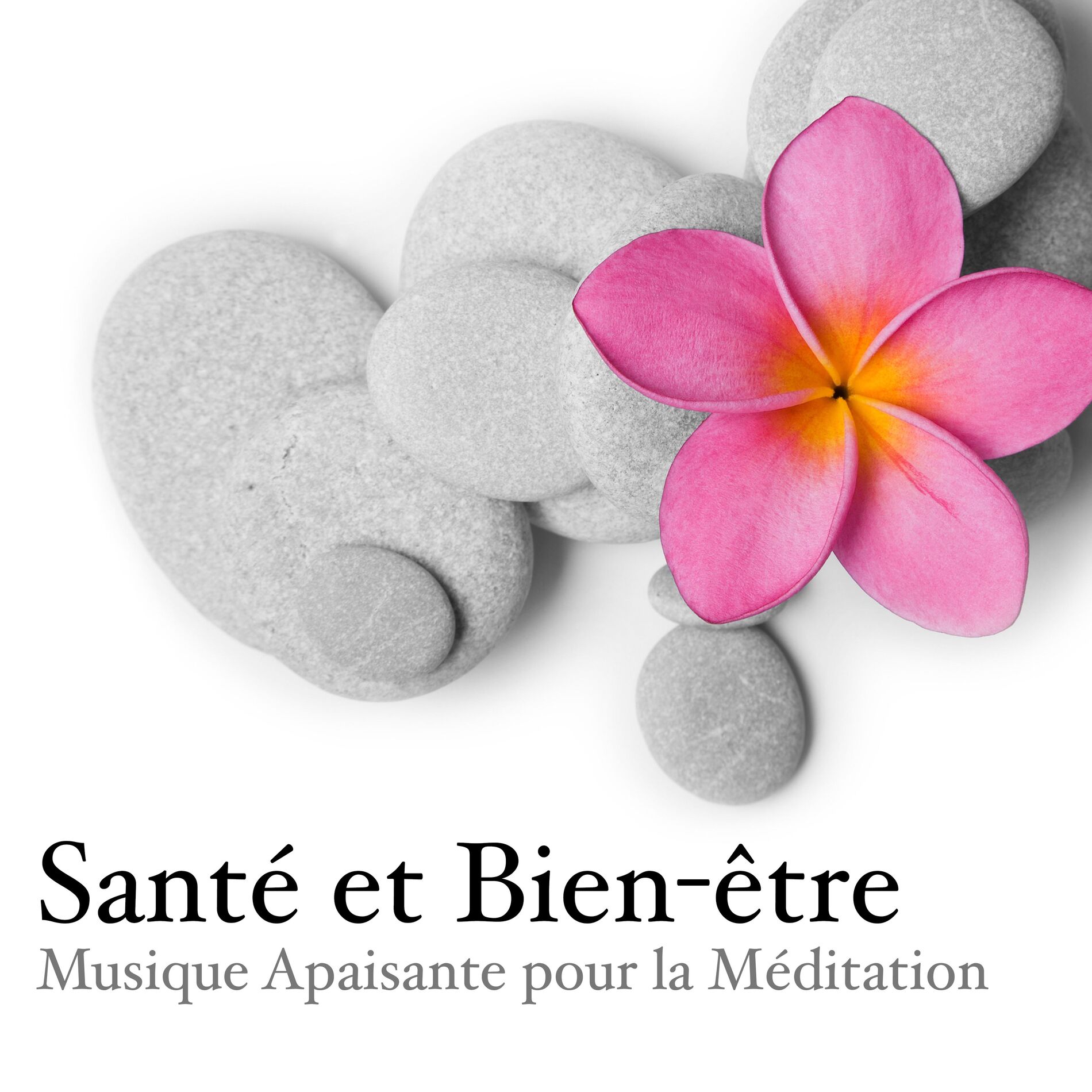 Album cover of Méditation du Jour