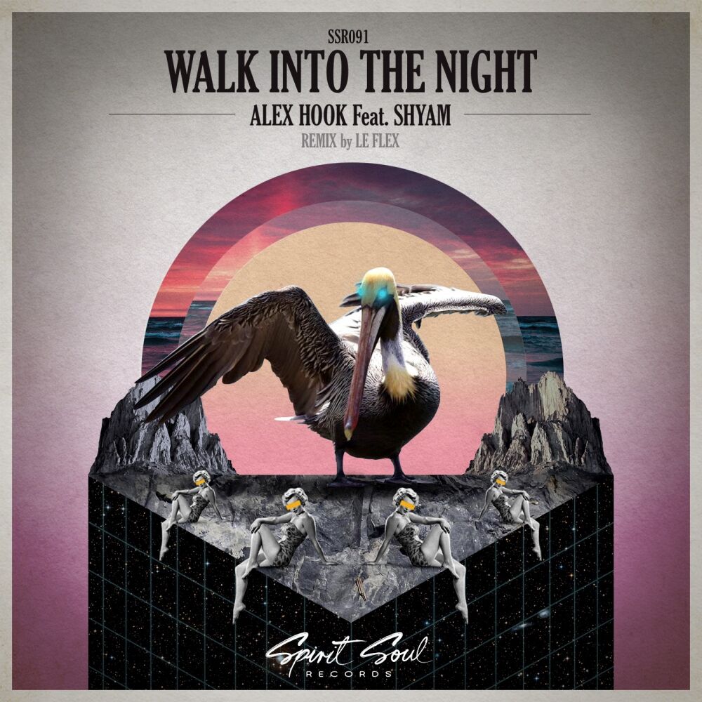 Picture of Walk Into The Night