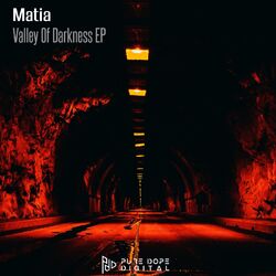 Cover of Valley Of Darkness