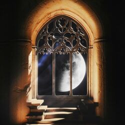 Cover of Media Luna
