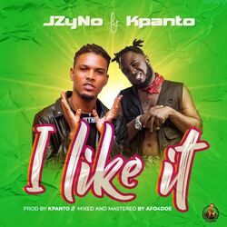 Cover of I Like It