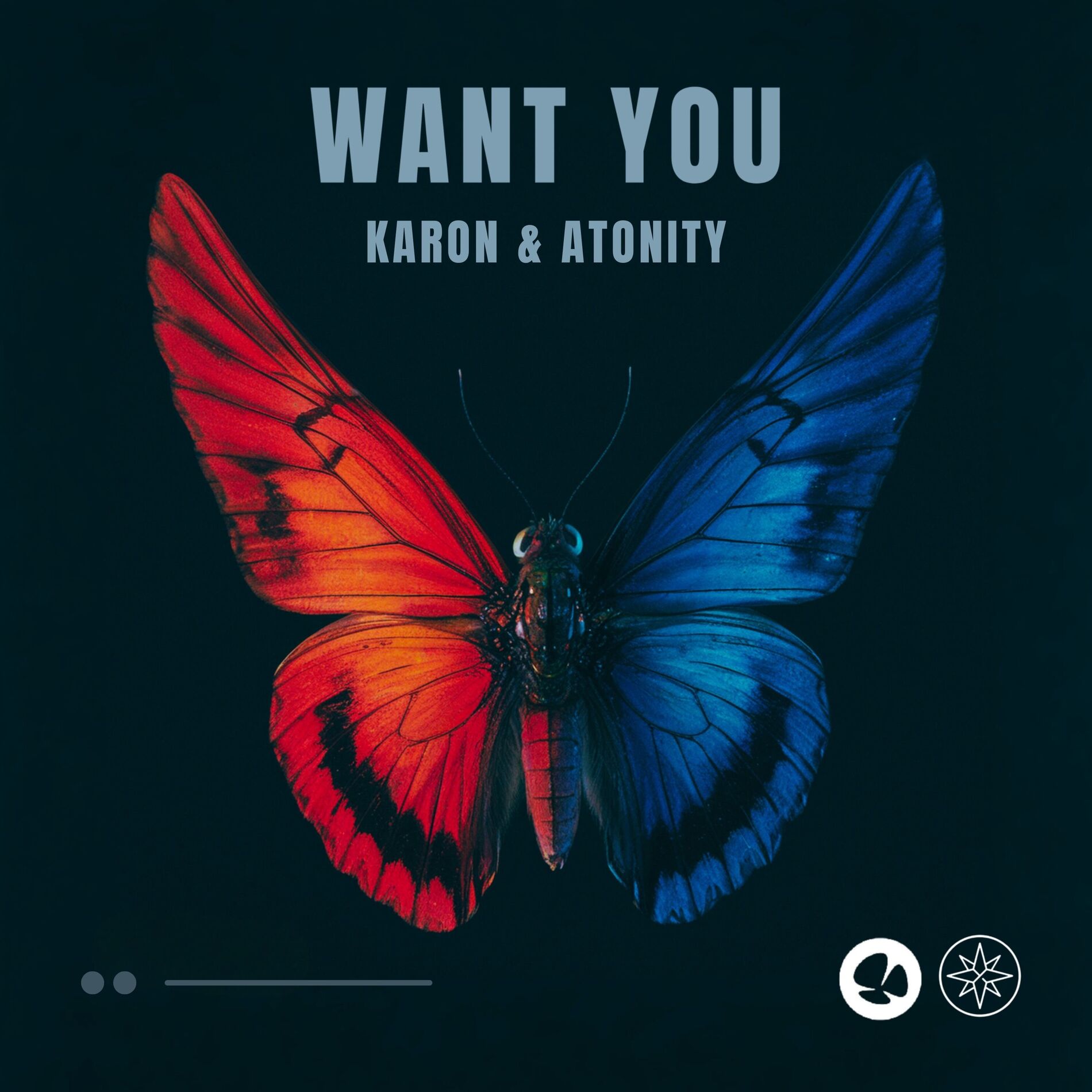 Album cover of Want You