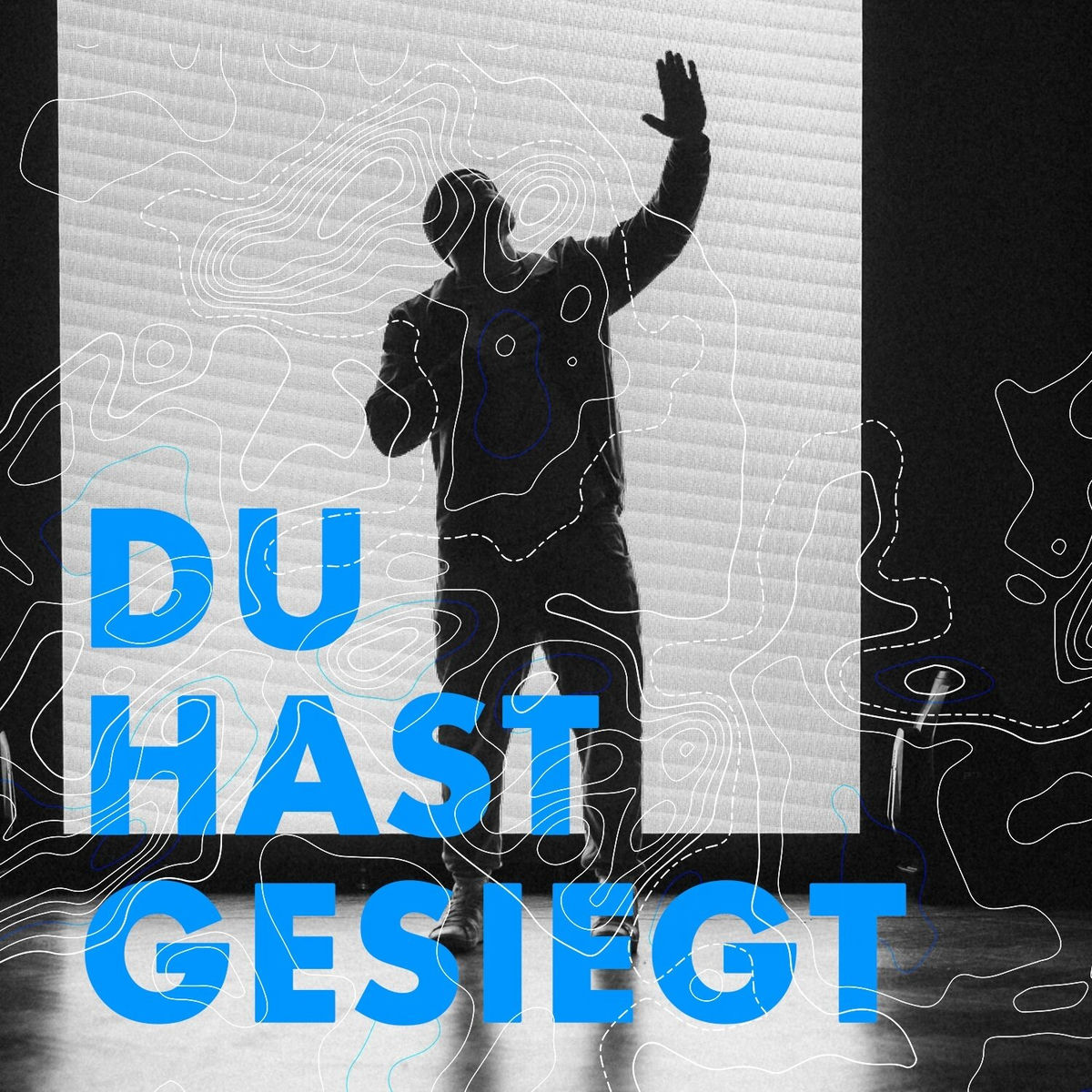 Album cover of Du hast gesiegt