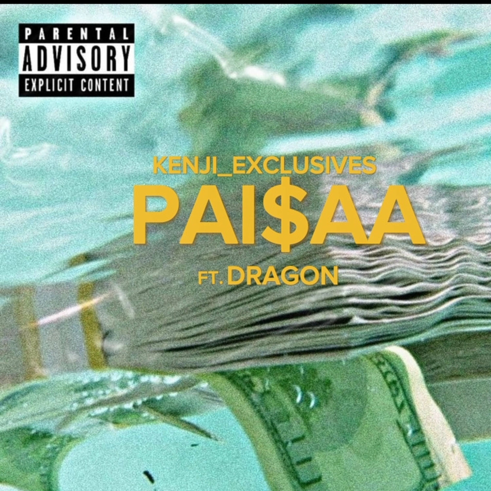 Album cover of Paisaa