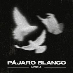 Cover of Pájaro Blanco