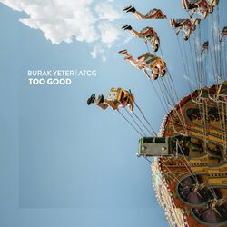 Cover of Too Good