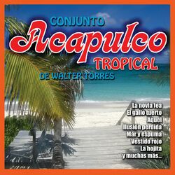 Cover of Grandes Éxitos de Acapulco Tropical