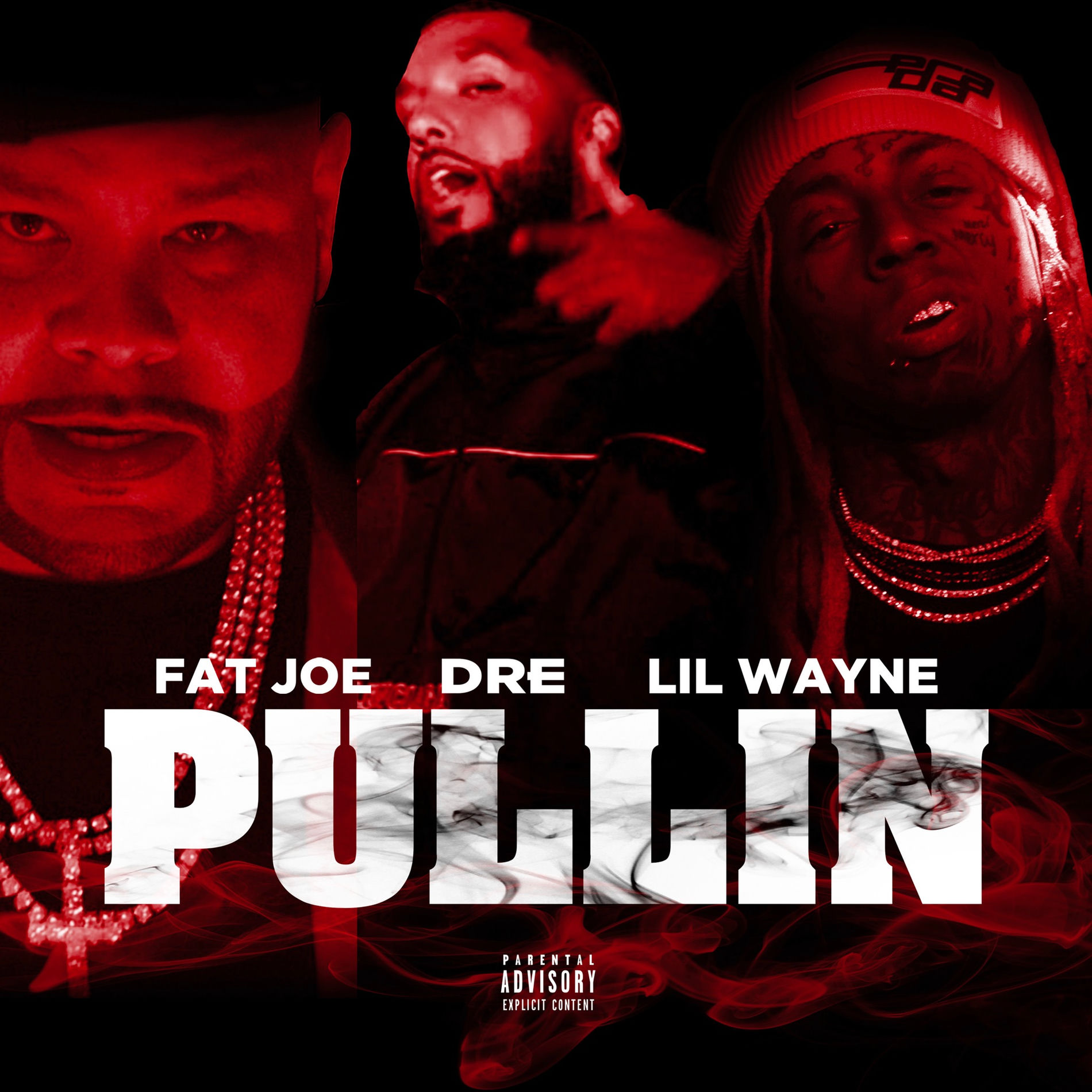 Album cover of Pullin