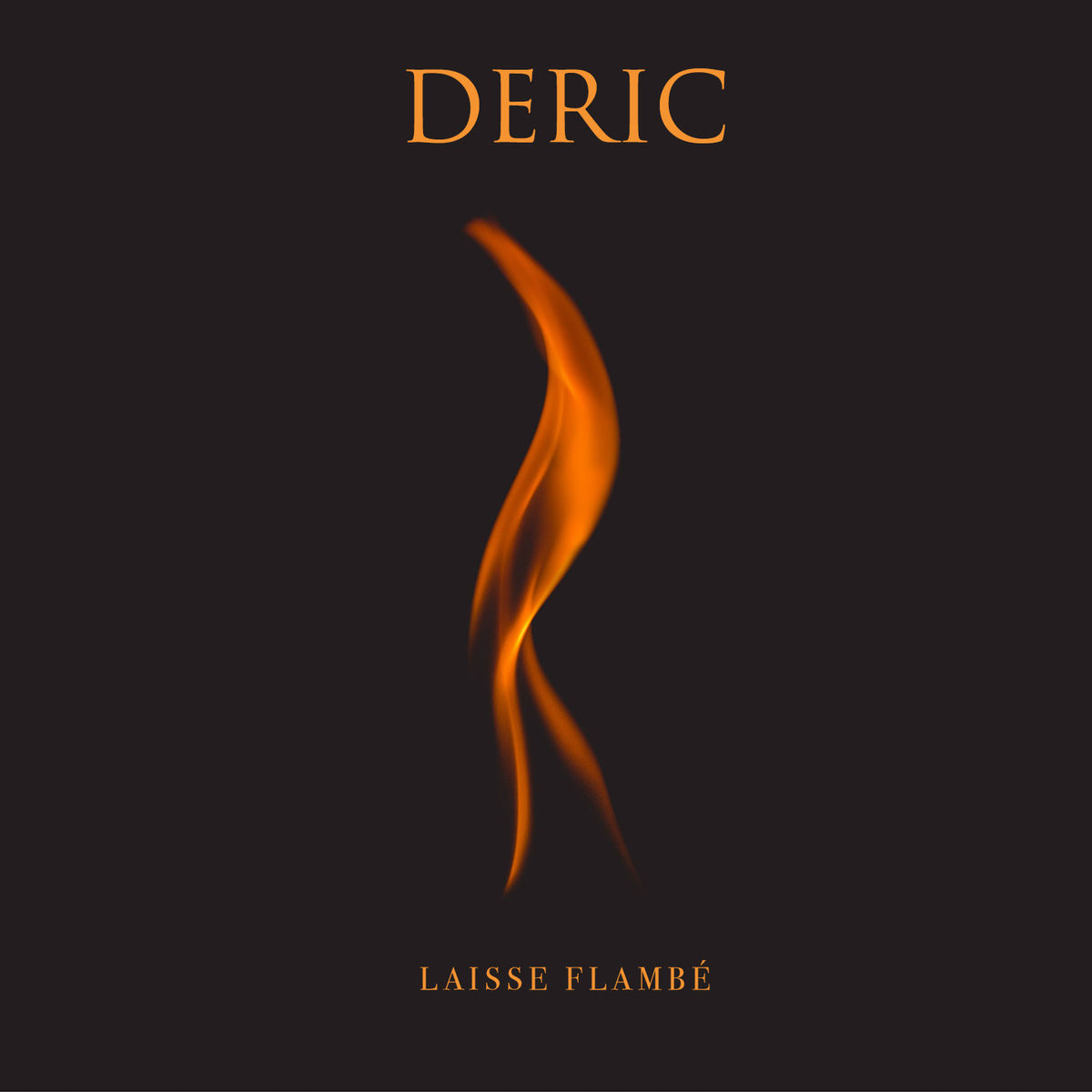 Album cover of Laisse flambé