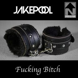 Cover of Fucking Bitch