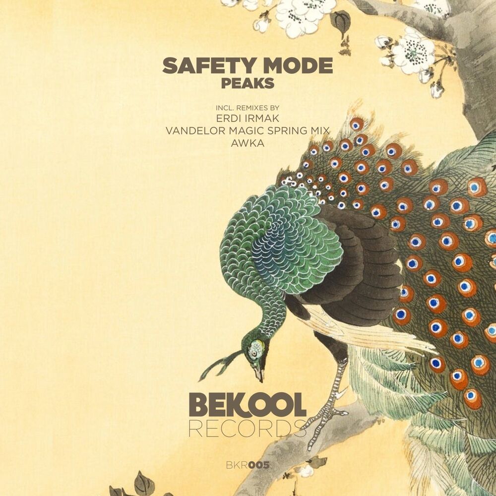 Picture of Peaks (Erdi Irmak Remix)