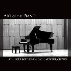 Cover of Art of the Piano: Schubert, Beethoven, Bach etc.
