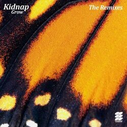 Cover of Grow (The Remixes)