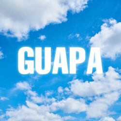 Cover of Guapa