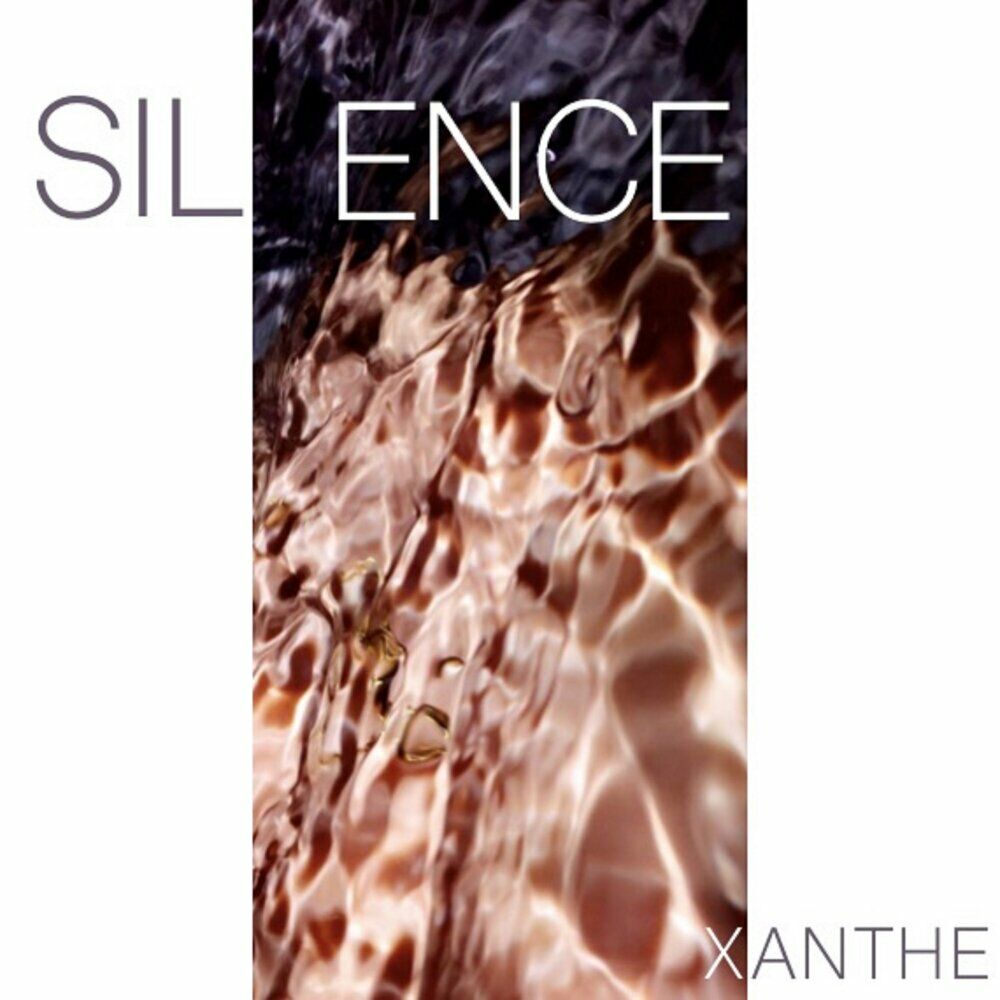 Picture of Silence