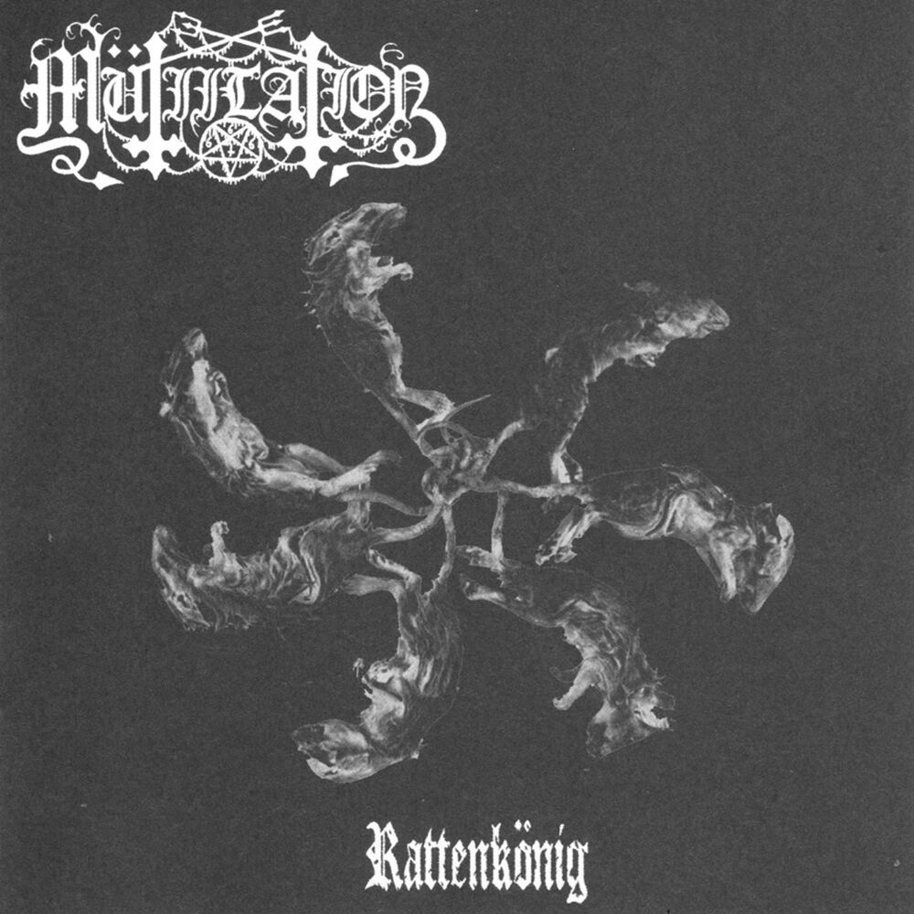 Picture of Rattenkönig