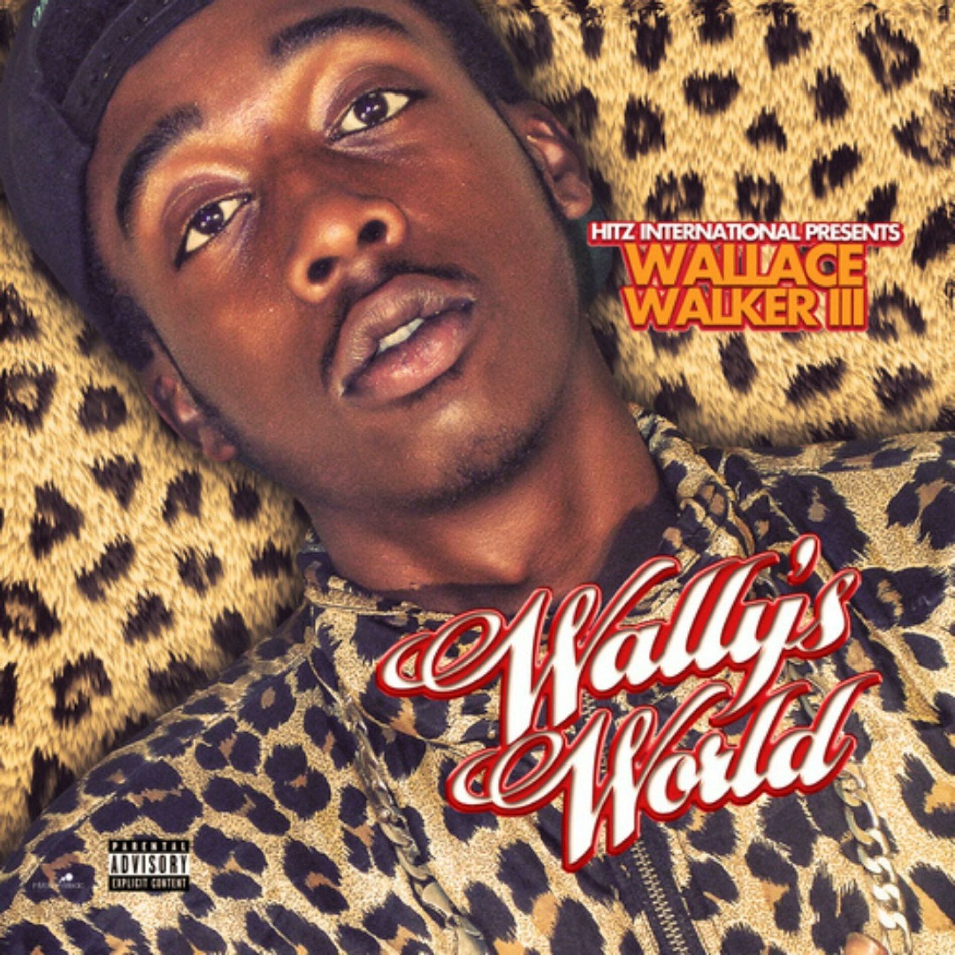 Album cover of WallysWorld