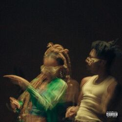 Cover of MEXE