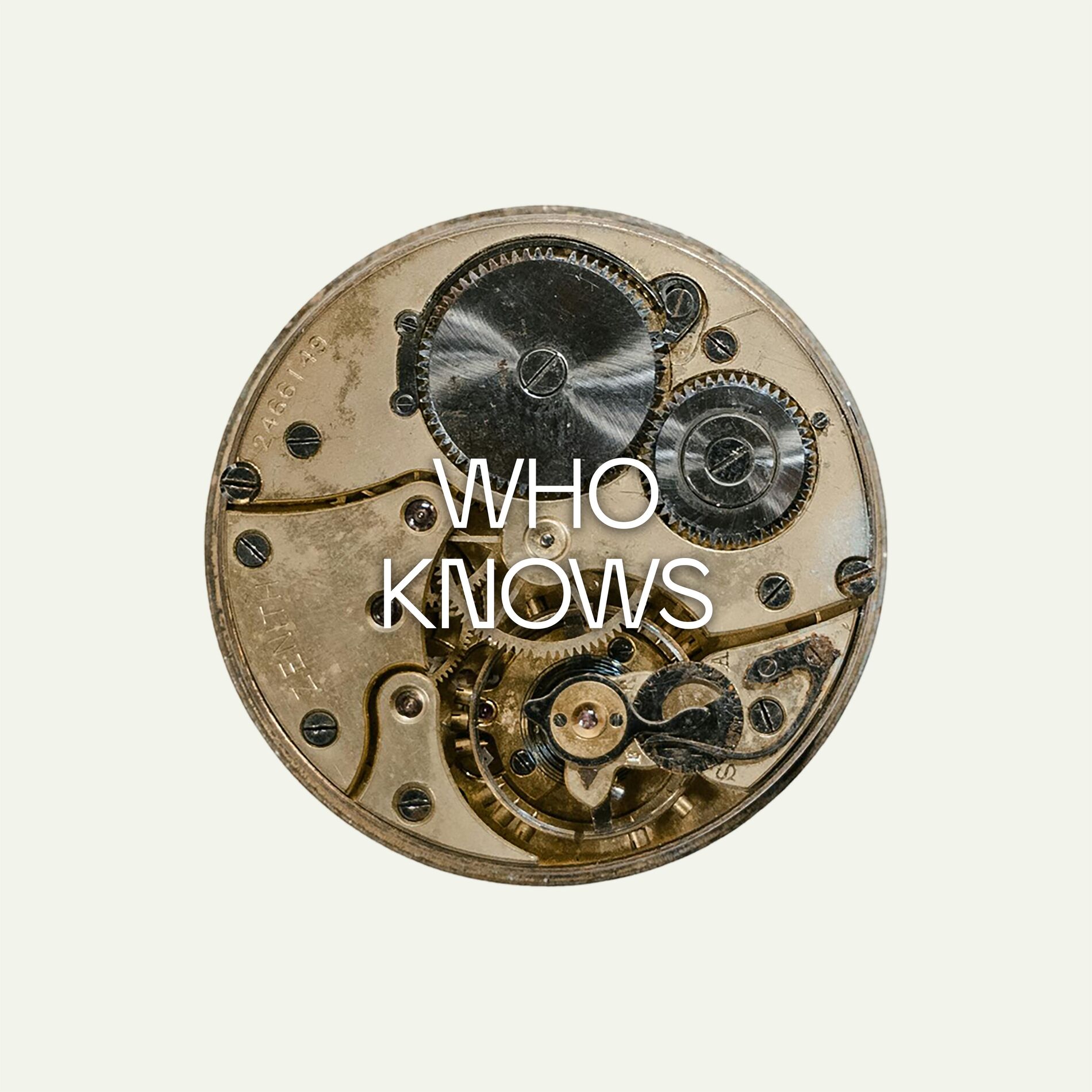 Album cover of Who Knows (feat. Jono McCleery)