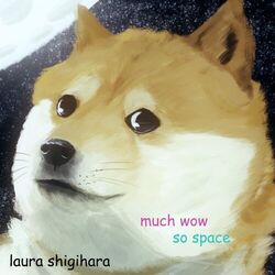 Cover of much wow, so space