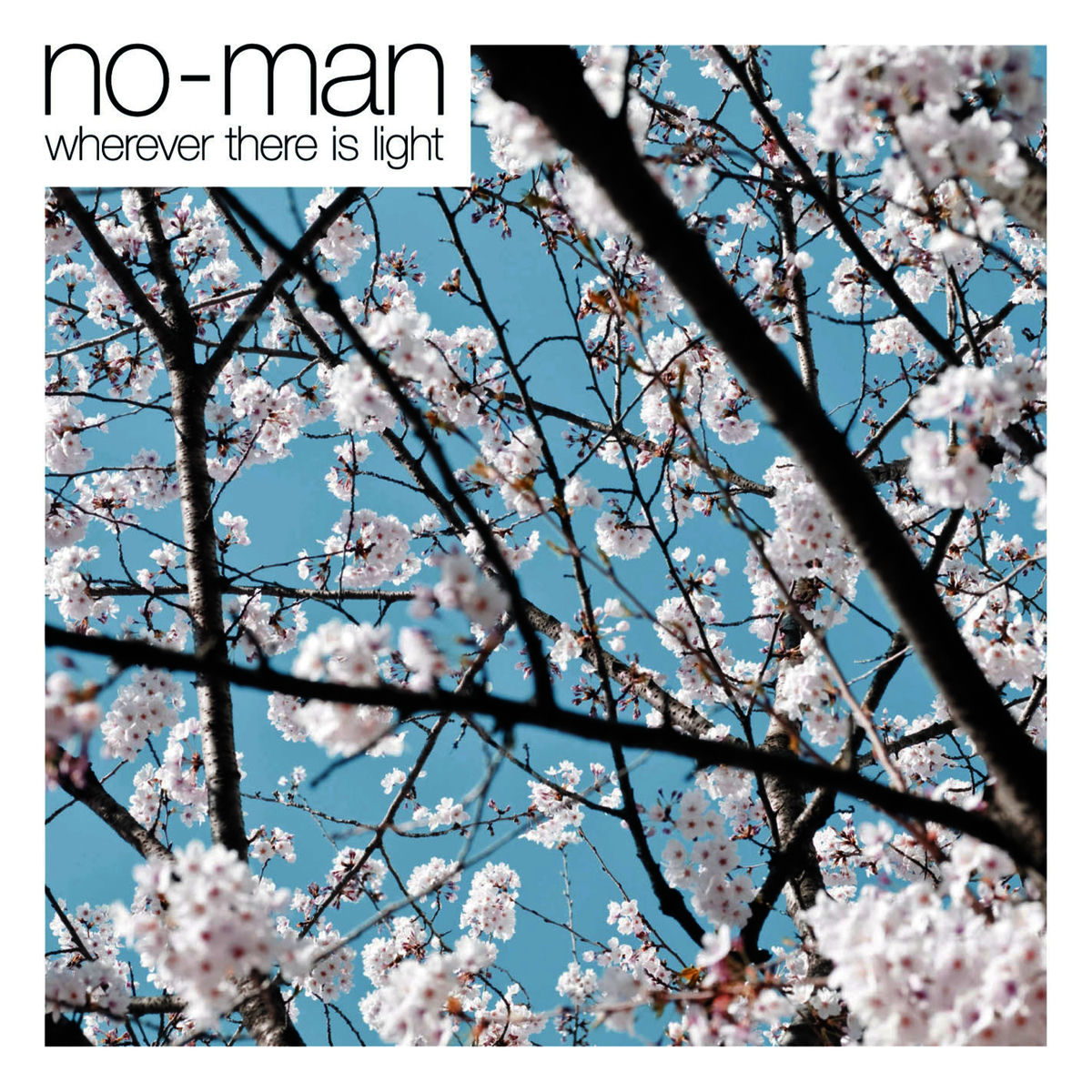 Album cover of Wherever There Is Light