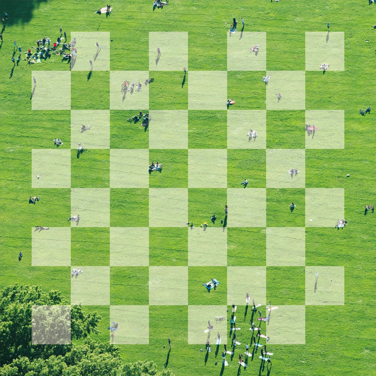 Album cover of Chessboard