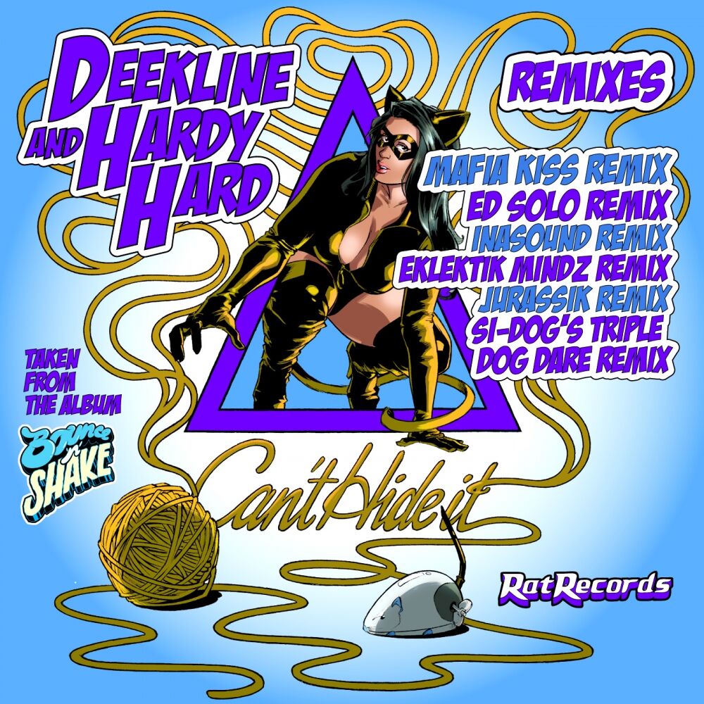 Picture of Can't Hide It (Remixes)