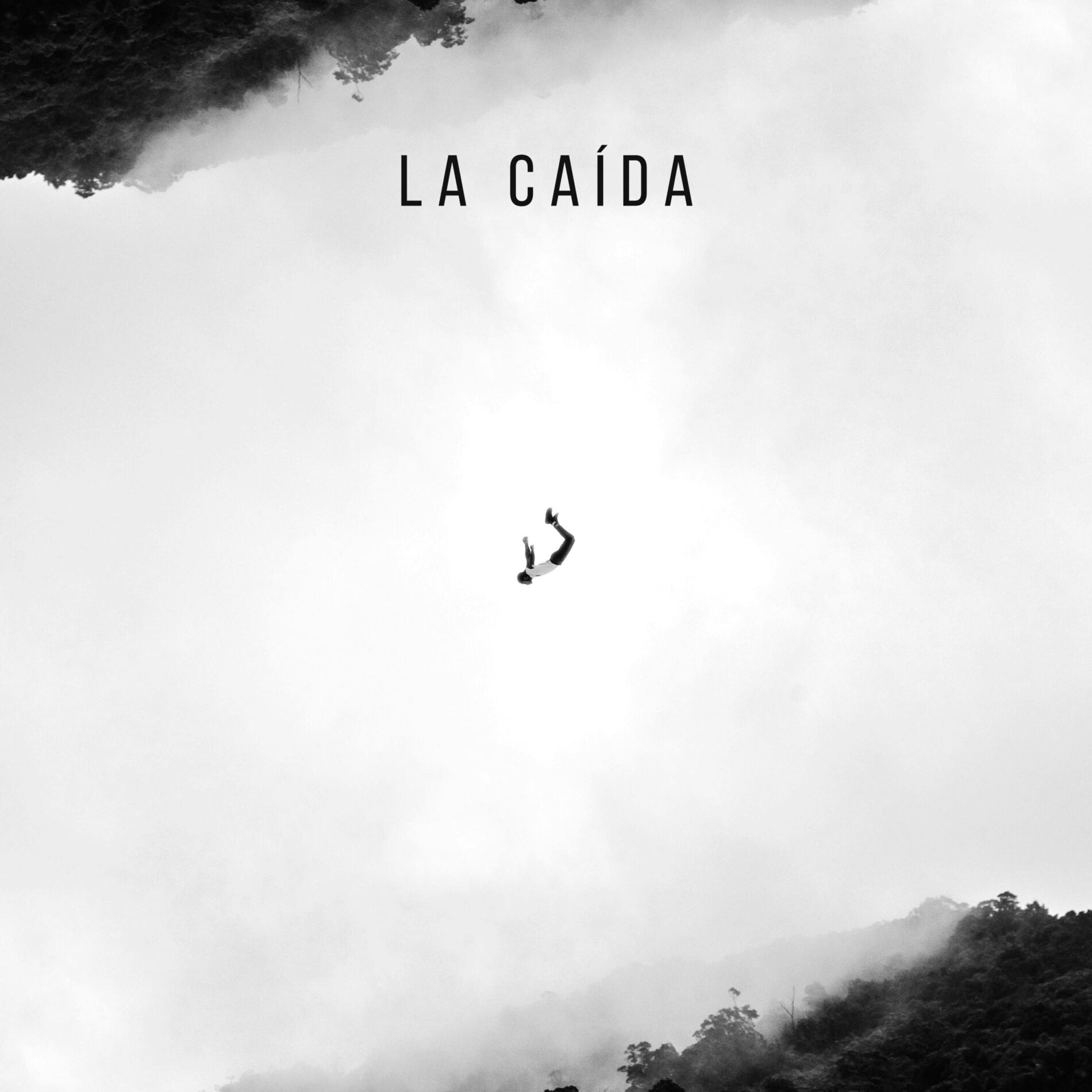 Album cover of La Caída
