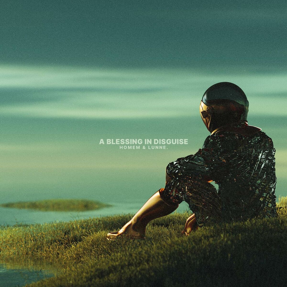 Album cover of A Blessing in Disguise