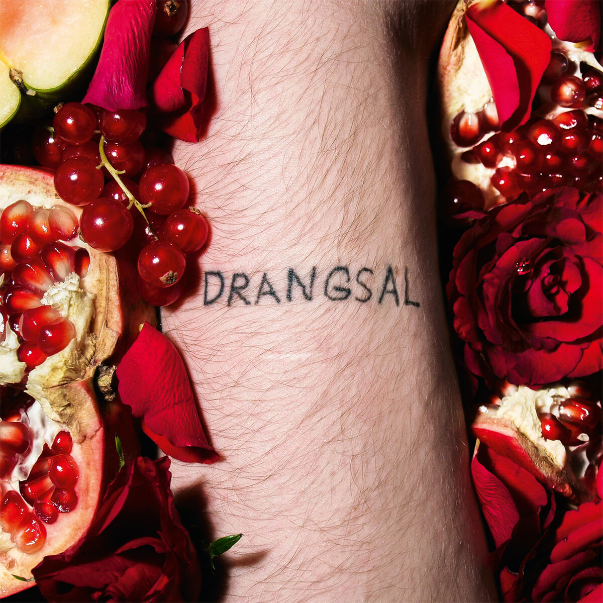 Album cover of Harieschaim