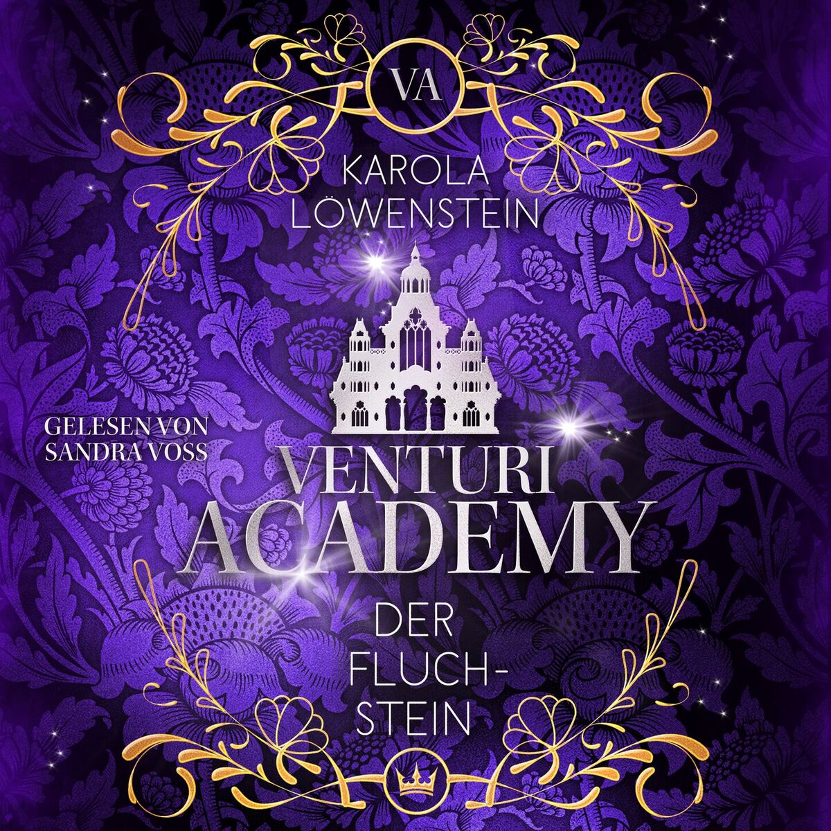 Album cover of Kapitel 1 - Der Fluchstein - Venturi Academy, Buch 3