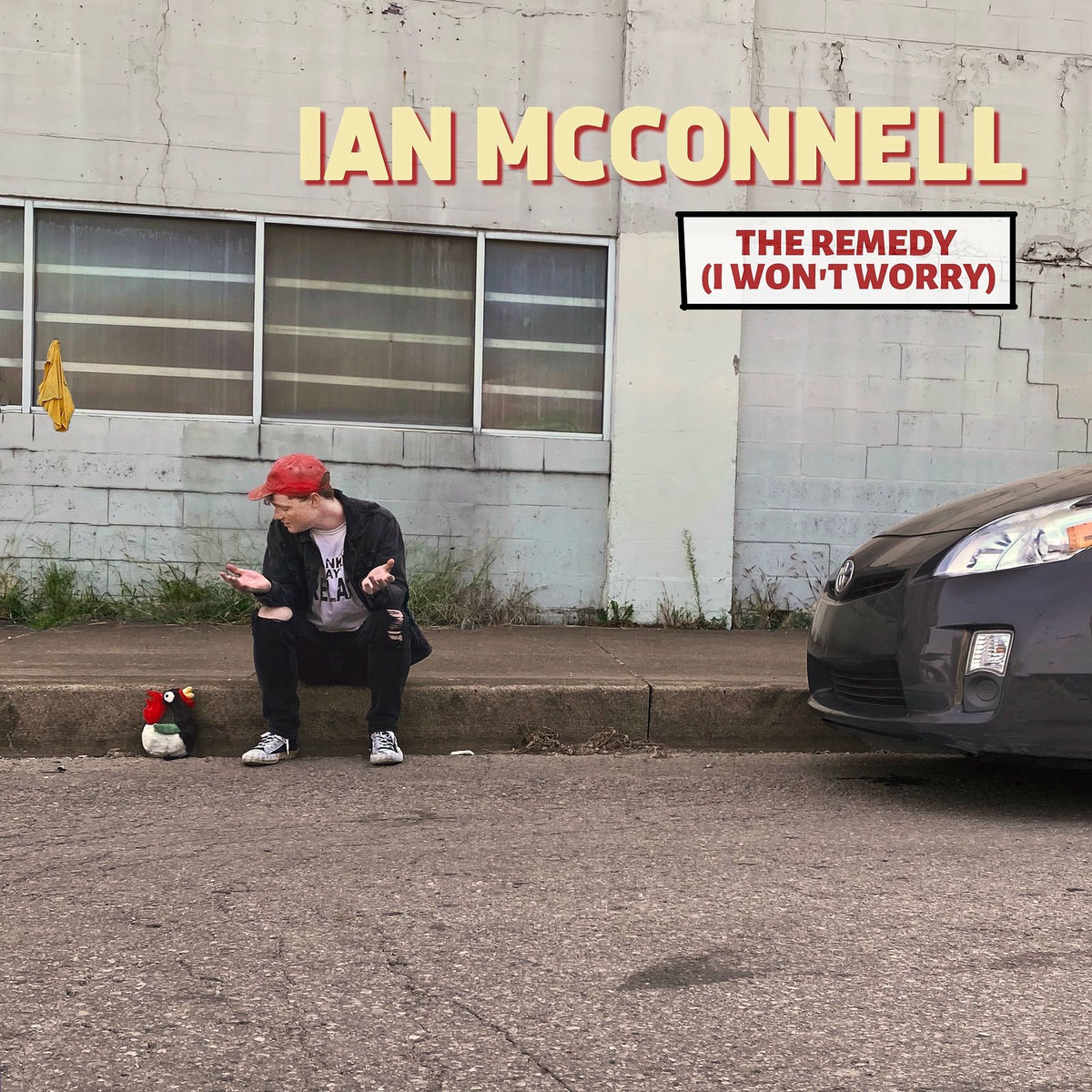 Album cover of The Remedy (I Won't Worry)