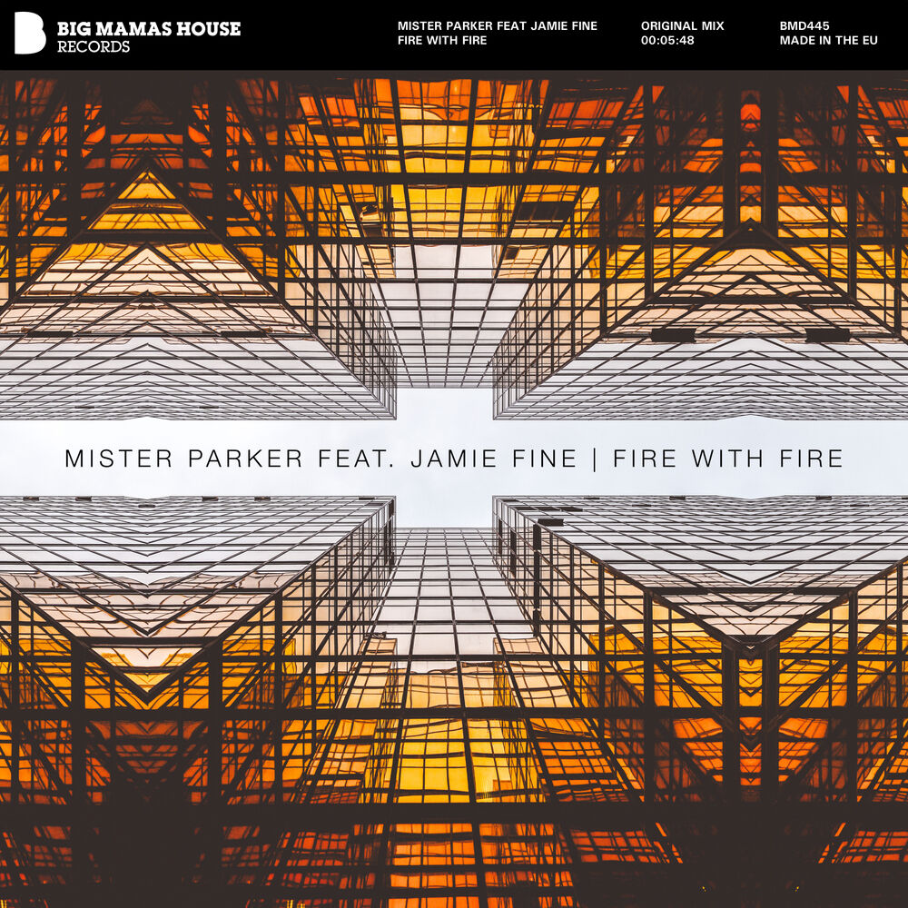 Picture of Fire With Fire