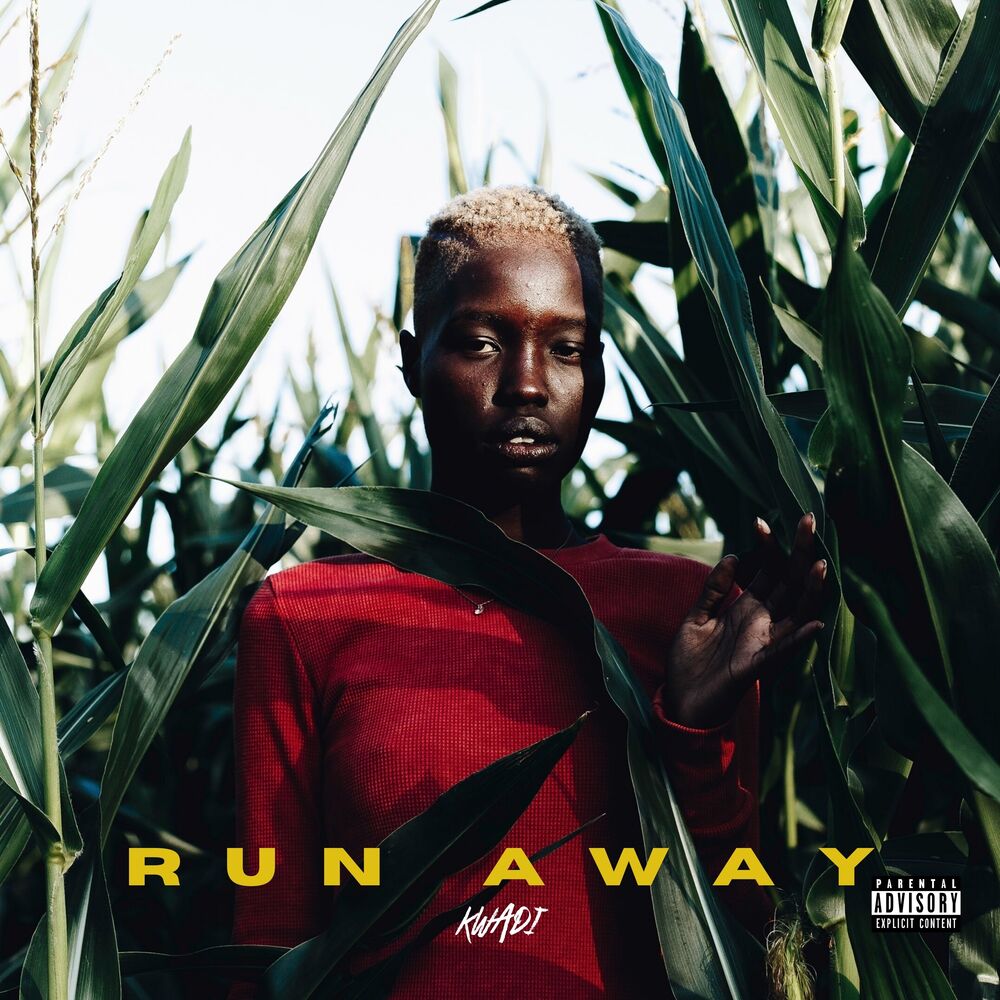 Picture of Run Away