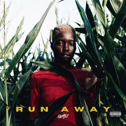 Cover of Run Away