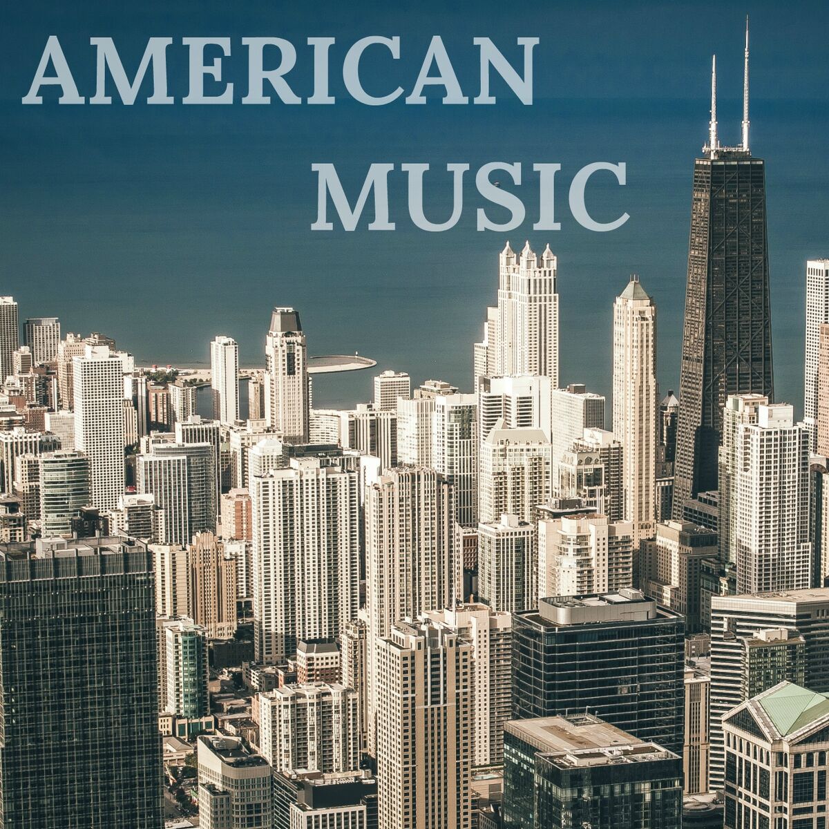Album cover of American Music