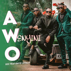 Cover of Awo Wenyini (feat. David Lutalo)