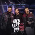 Meu Fake Viu