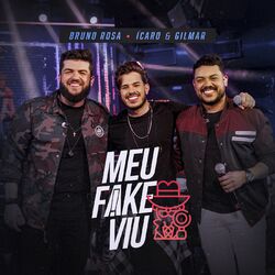 Cover of Meu Fake Viu (Ao Vivo)