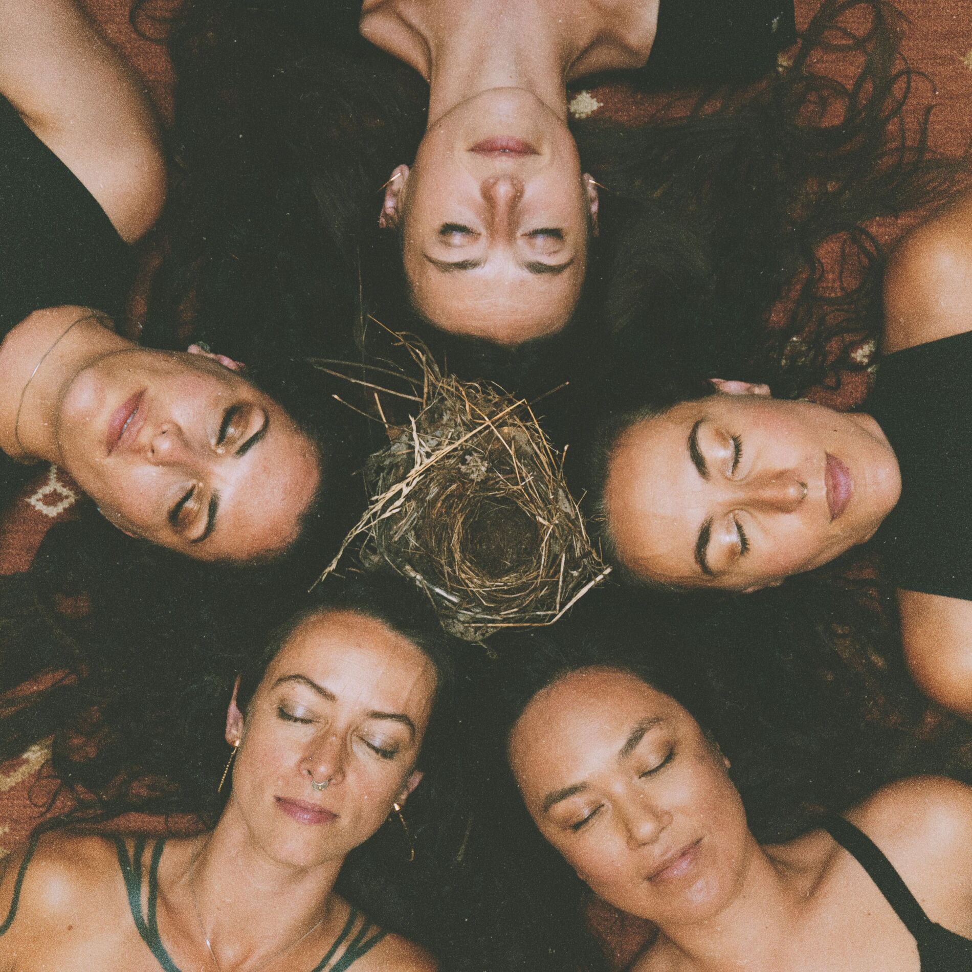 Album cover of Midnight Hum
