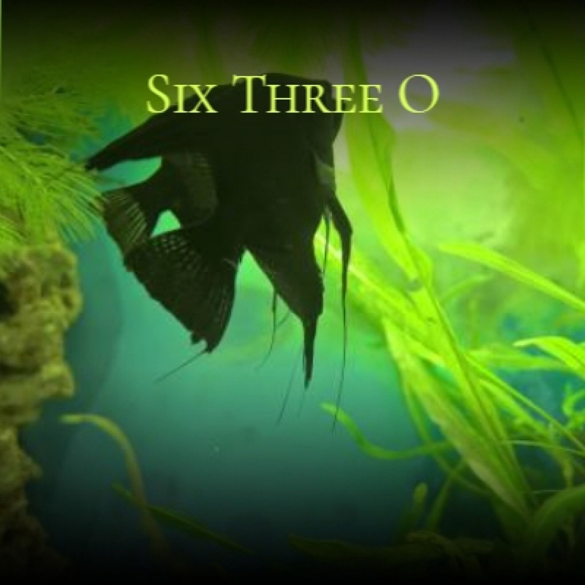 Album cover of Six Three O