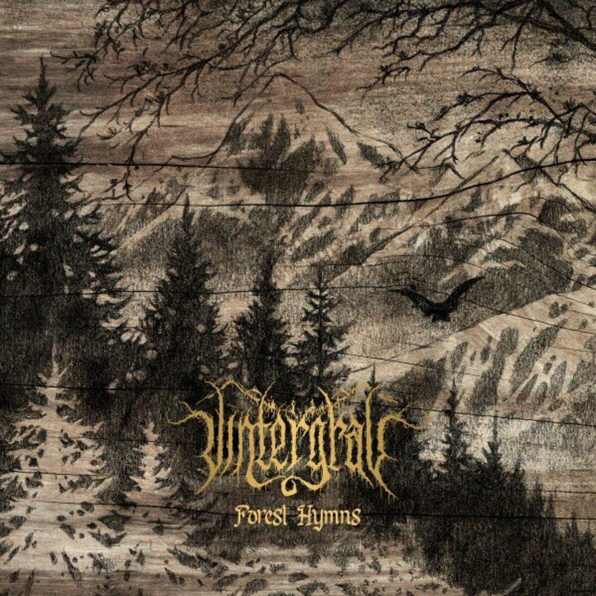 Album cover of Forest Hymns