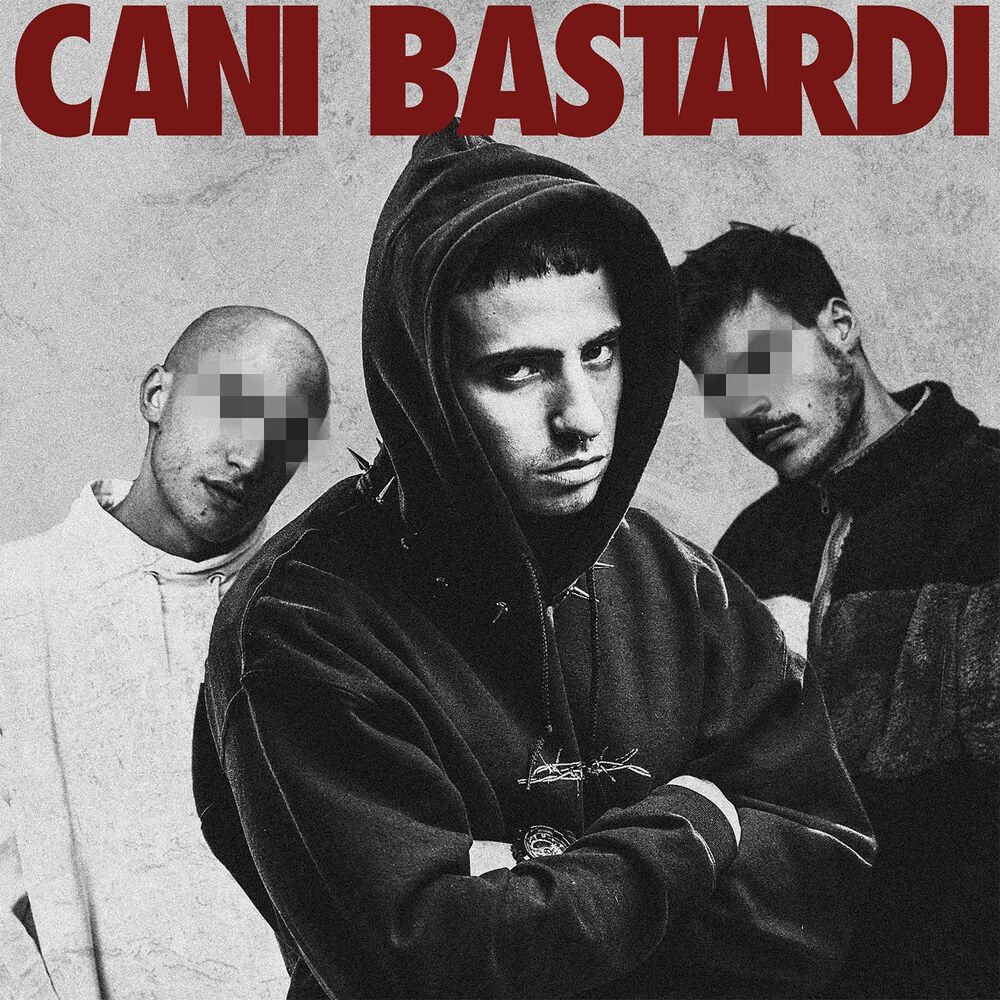 Picture of Cani bastardi