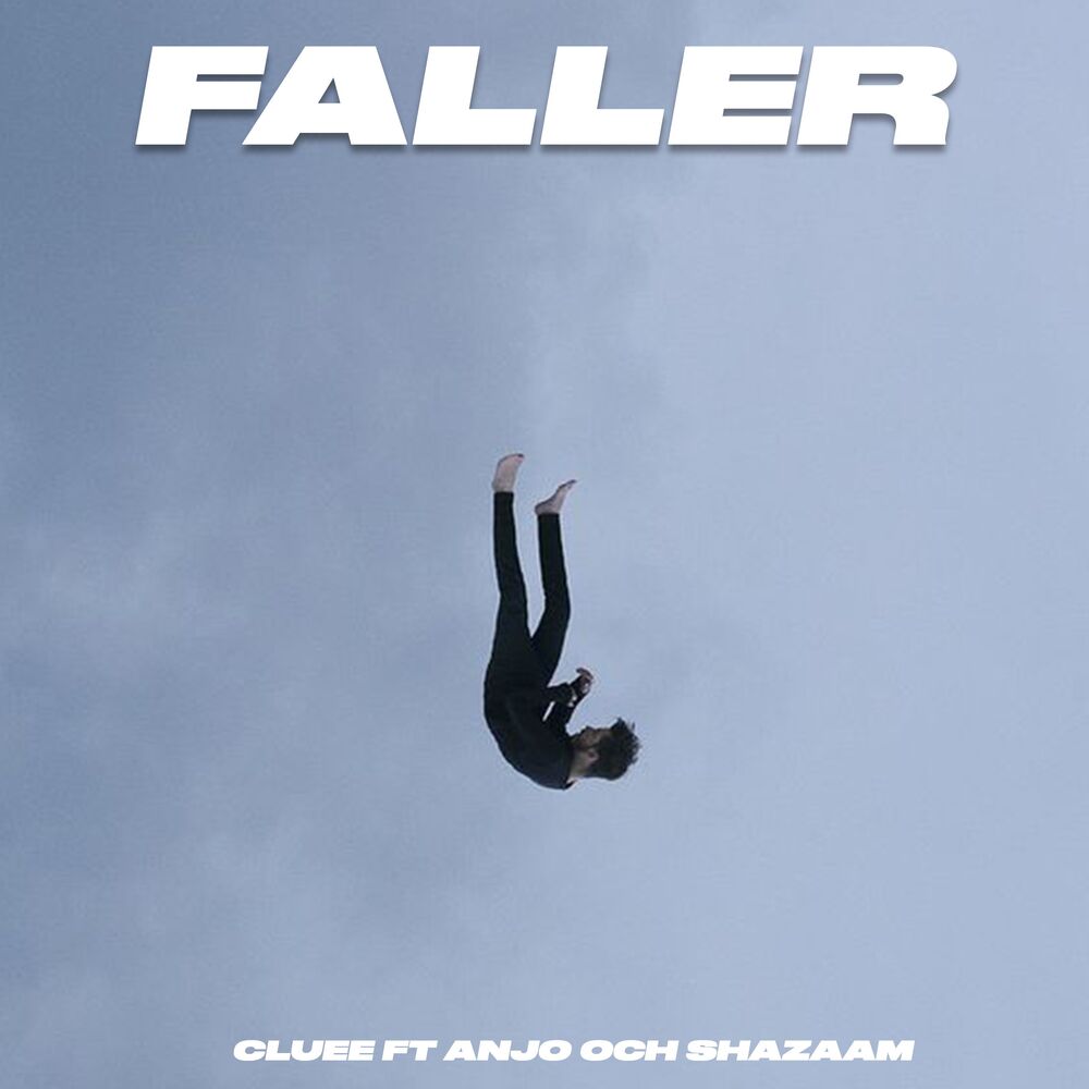 Picture of Faller (Radio Edit)
