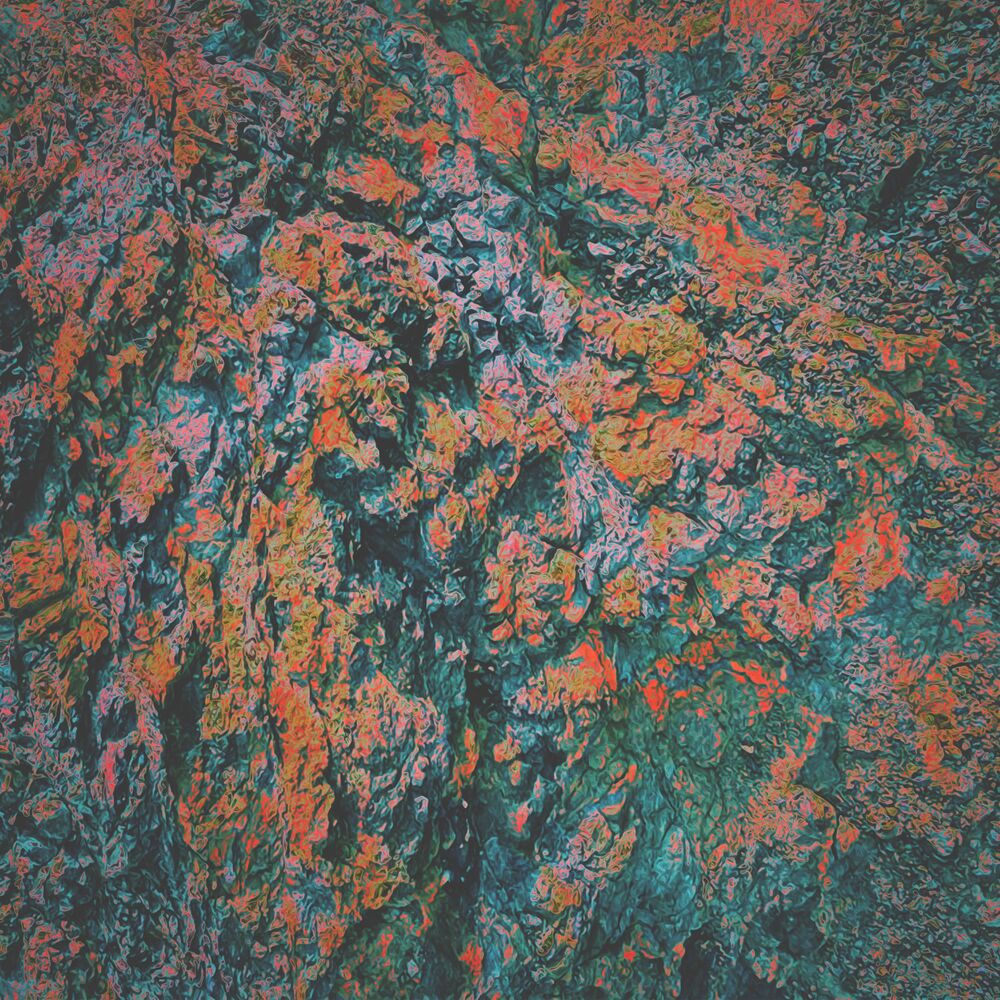 Picture of Strawberry Symphony