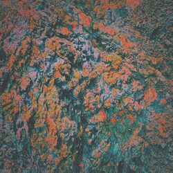 Cover of Strawberry Symphony