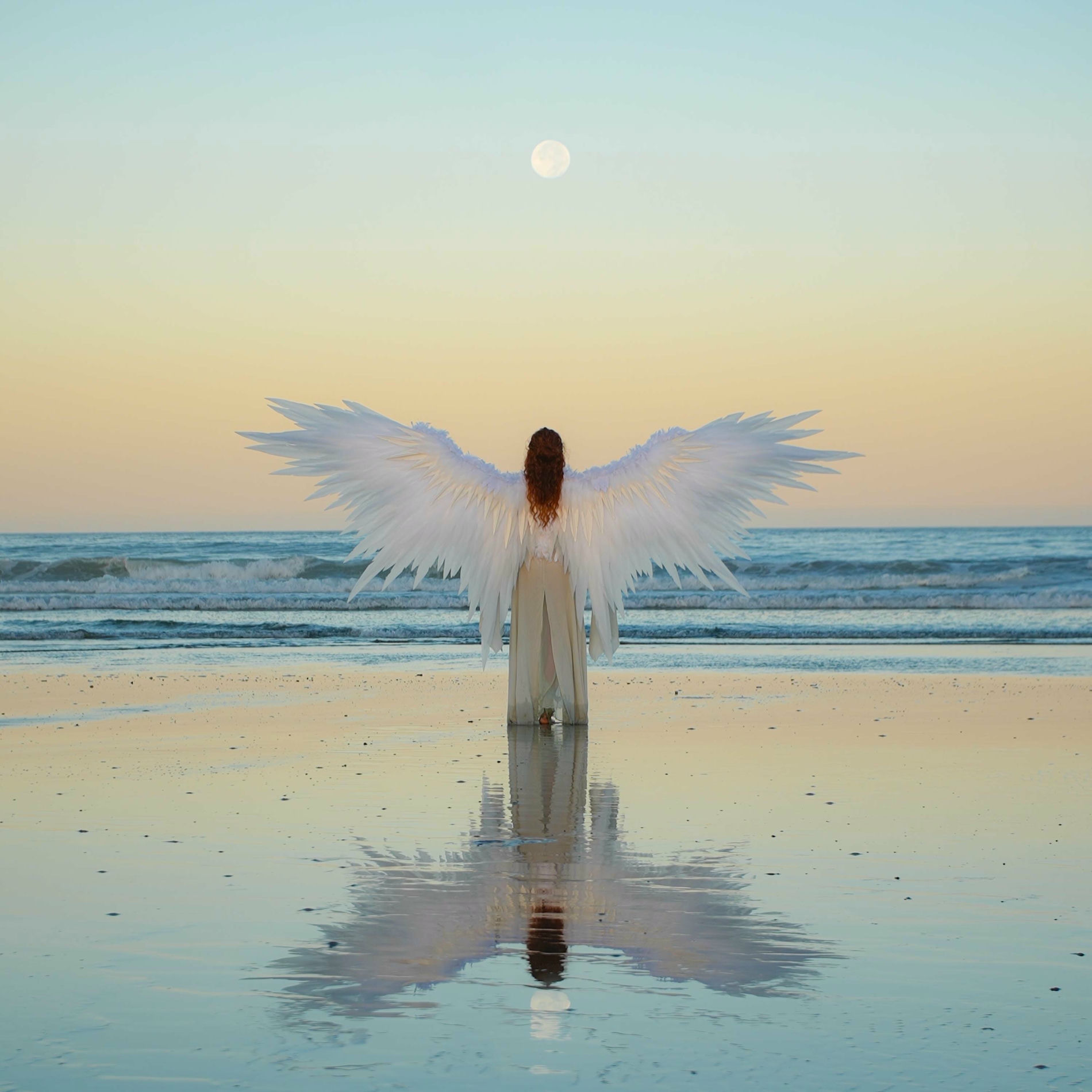 Album cover of Flying In Love