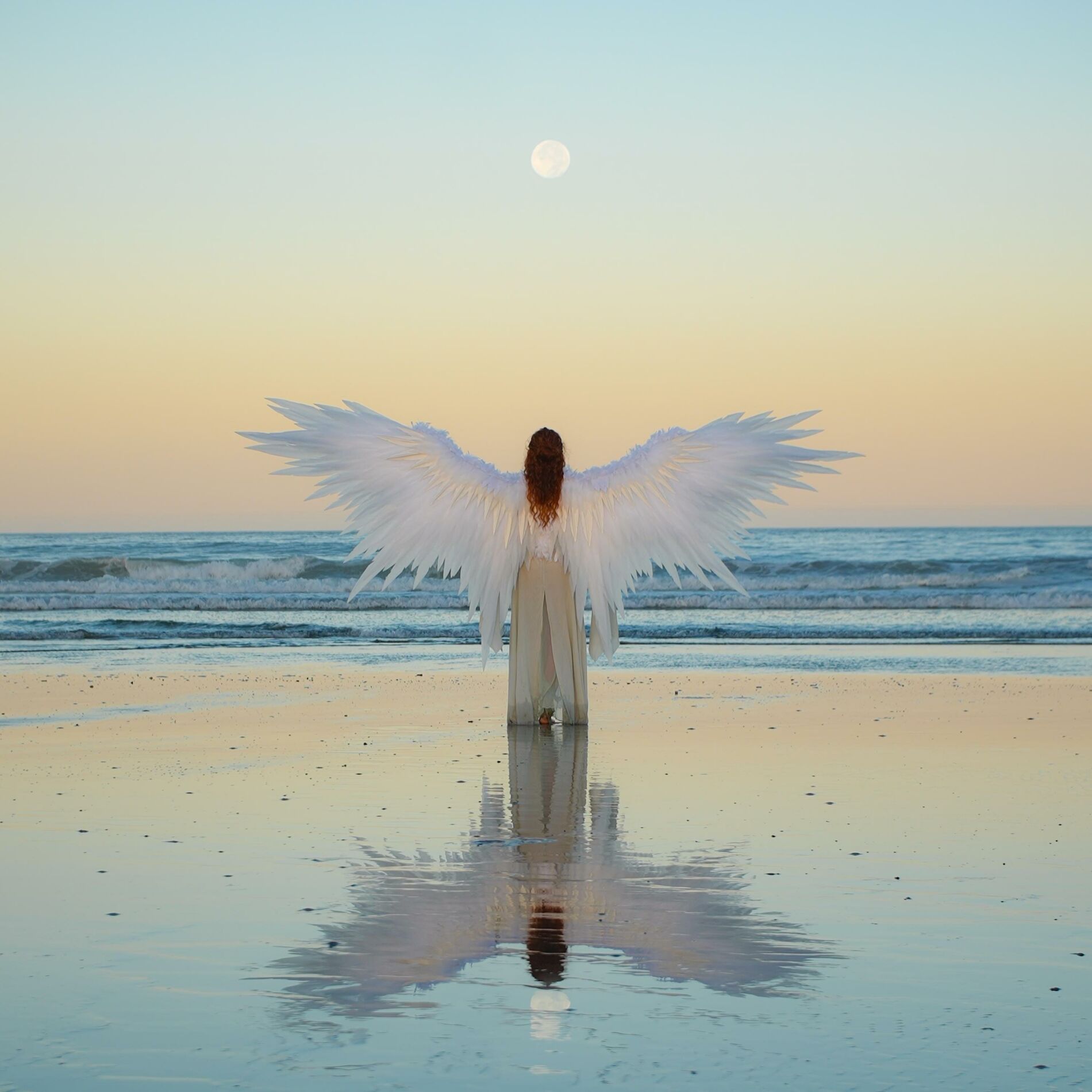 Album cover of Flying In Love