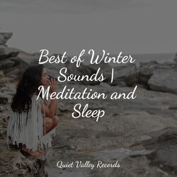 Cover of Best of Winter Sounds | Meditation and Sleep