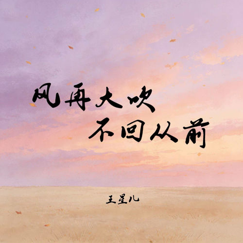 风再大吹不回从前